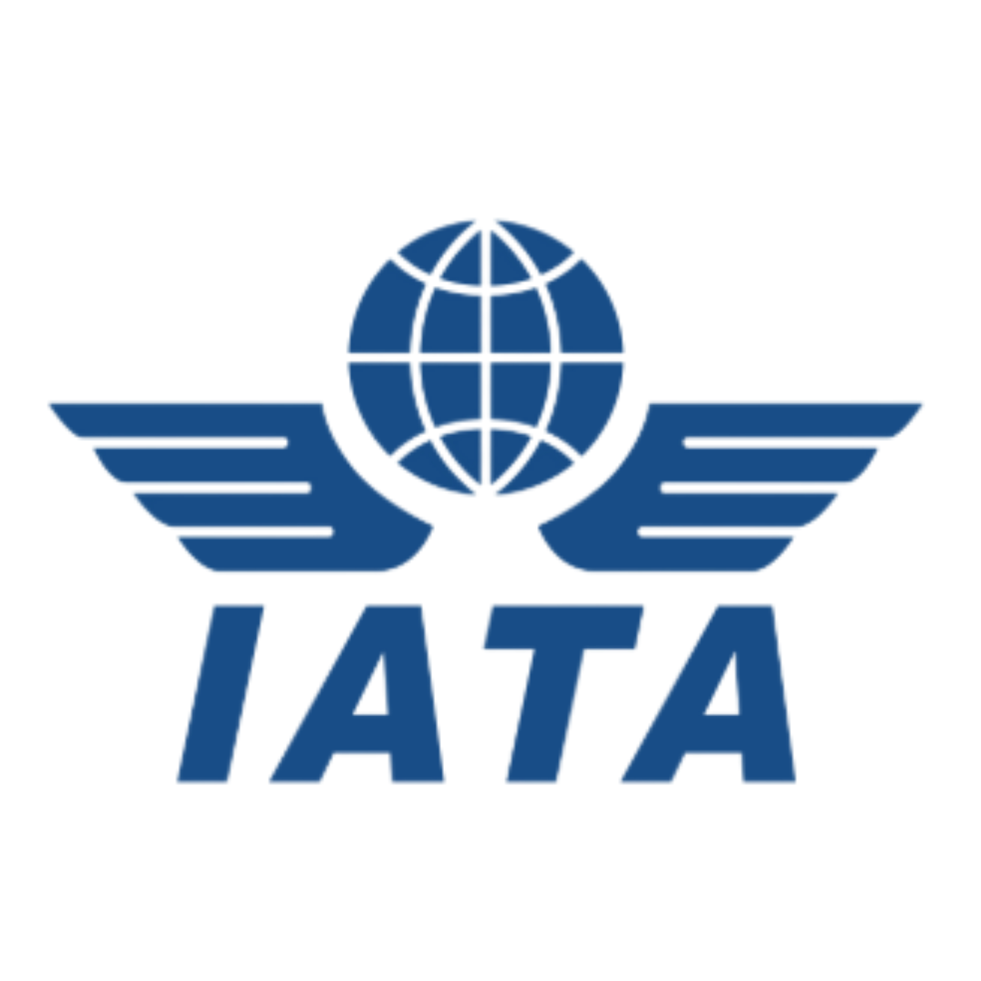 IATA Accredited Agent